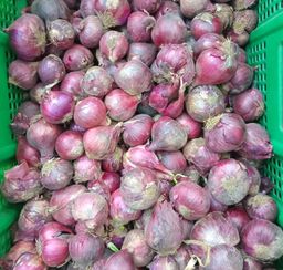 Onions Rouge Locale 1kg