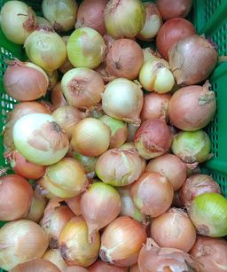 Onions Importe 1kg