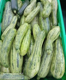 Courgettes Locale 1kg