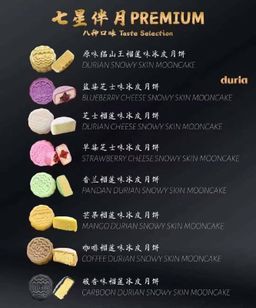 七星伴月·猫山王榴莲冰皮月饼