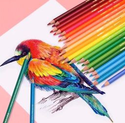 Set de 96 colores profesionales 