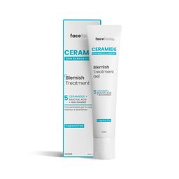 FACEFACTS GEL CERAMIDES à l'acide salicylique et niacinamide 