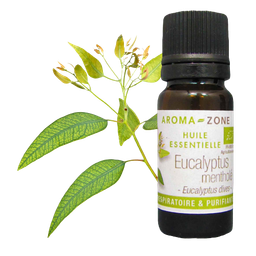 Aroma-Zone EUCALYPTUS mentholé Purifiante et mucolytique, l'huile essentielle d'Eucalyptus mentholé est traditionnellement utilisée pour favoriser la respiration. Ses effets drainants font de l'huile essentielle d'Eucalyptus mentholé un ingrédient essentiel pour aider à atténuer l'aspect de la cellulite. Dans les soins des peaux grasses et à imperfections, l'huile essentielle d'Eucalyptus mentholé apporte une action purifiante et désincrustante.