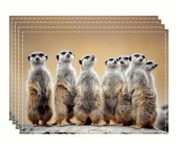 4 Piece Table Placemats Set