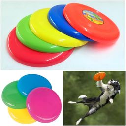 Frisbee Flying Disk