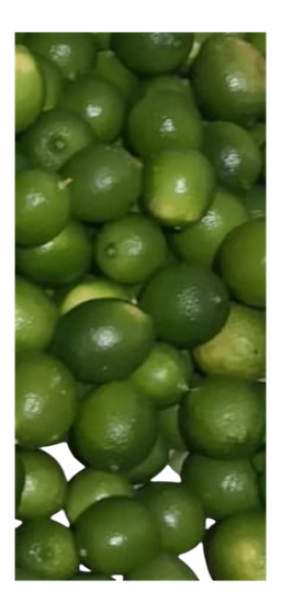 Limones persas 5 und