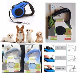 Retractable Dog Leach