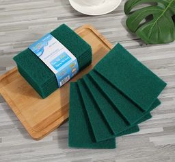10 Piece Green Scrubbing Pads