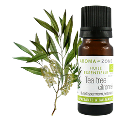Aroma-Zone HE TEA TREE lle soulage aussi bien les infections de la peau, tant les mycoses, abcès et furoncles, que les aphtes et gingivites. C'est aussi une huile essentielle idéale .