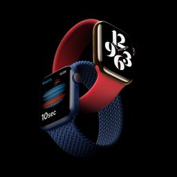 Apple Watch serie 6