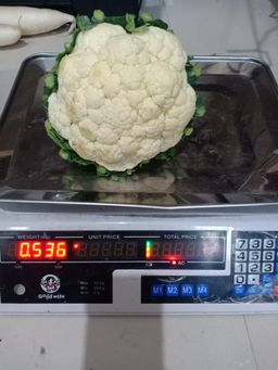 Bunga Kol / Brungkul / Kembang Kol