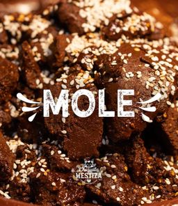 Mole Poblano 
