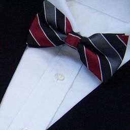  nœuds papillon 