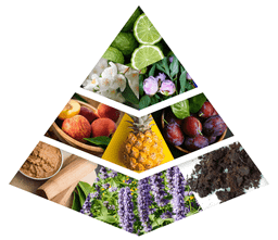 HAREEM AL SULTAN GOLD 35ML