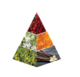 ASMIRA - 100ML- WOMAN - Naseem perfumes 