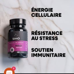 SHIAJIT SHITO (60) GELULES reconnu pour ses propriétés adaptogènes et ses effets bénéfiques sur la santé. Augmente naturellement votre énergie et votre endurance et renforce vos défenses immunitaires 