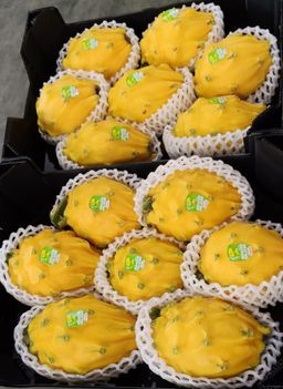 Ecuador Yellow Dragonfruit