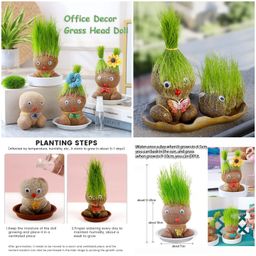 Grass Head Doll Yellow Box