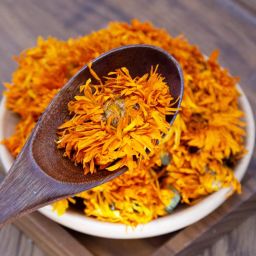 1 For 1 Special Bundle - Dried Calendula Flowers (15gms + 15gms)
