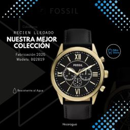 FOSSIL BQ2819.2