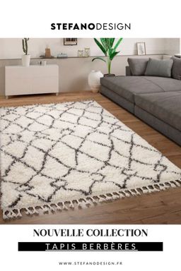 Tapis modernes