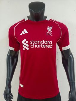 Player version