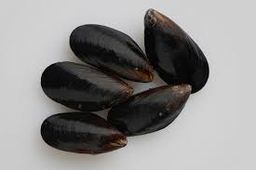 10pots- Full Shell Black Mussel (ctn) 