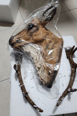 Pajangan Dinding Kepala Rusa Artificial Imitasi Menyerupai Asli Material Polyresin Gaya Vintage Klasik