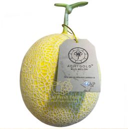 MY Japan Breed Achi Melon