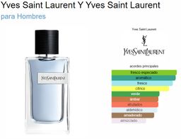 YSL Y EDT