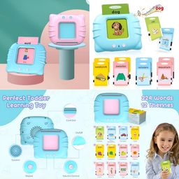 Talking Flash Card Reader