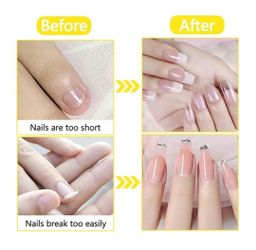 500 Dlices / Roll Nail Form Extension Sticker 