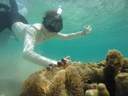 C3.Snorkeling Tour
