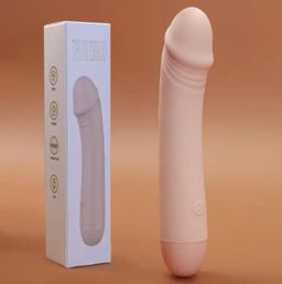 Vibrator  