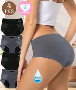 Ladies 4 Piece Leak-Proof  Underwear