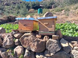 T Sello Construction 🦺 (📍Qacha’s Nek construction works) 