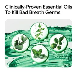 Listerine Freshburst Antiseptic Mouthwash Oral Care, Mint, 1 L