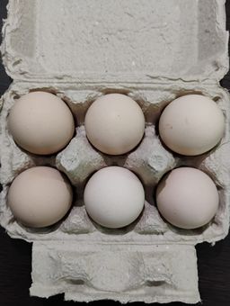 Natu Guddu (Desi eggs) 6PCS 