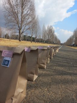 Lunch Subscription options