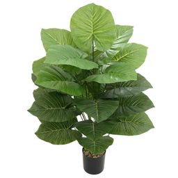 Flowers 5700 usafiri tu