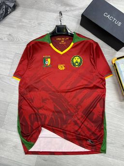 Cameroun 🇨🇲 2025