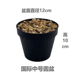 Kikopo peke yake 8.5 and 10cm  usafiri tu