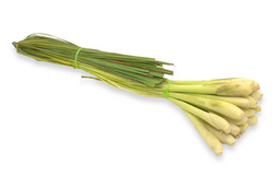 Lemongrass – 1 bunch / Hierba de Limón – 1 manojo