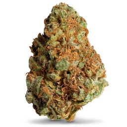 Peanut butter strain 