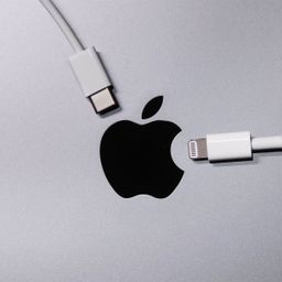 Apple cable (USB-C to Lightning)