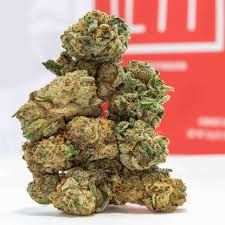 London pound cake strain 