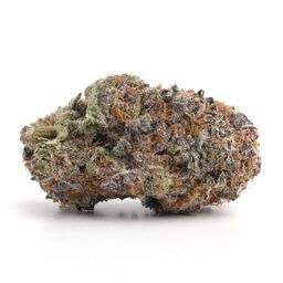 Purple push pop strain 