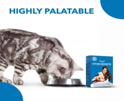 Drools Kitten Booster 300g