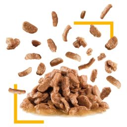 Feline Health Nutrition Sensory Taste Gravy (WET FOOD – POUCHES) 85G