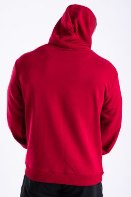 Icon Hoodie (red)